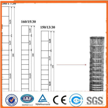 Cerca de gado soldada, cerca de campo galvanizado, vedação de pradaria / pradaria cerca de arame / rede de fios de ferro Kraal (Fábrica da China)